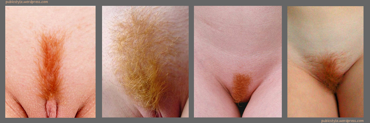 Redhead Pubic Hair Pics 115