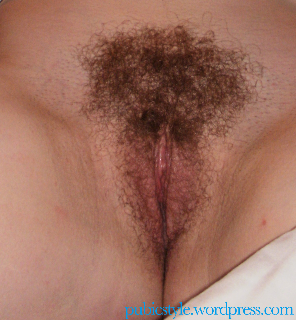 Pubic hair pussy picture shave