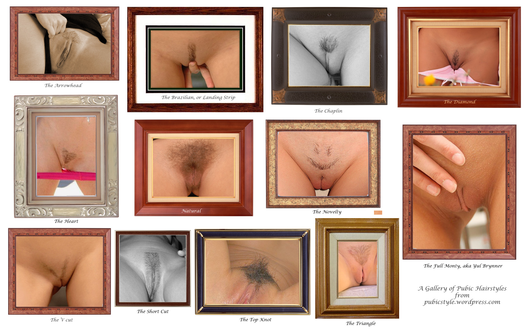 A gallery of pubic hairstyles.